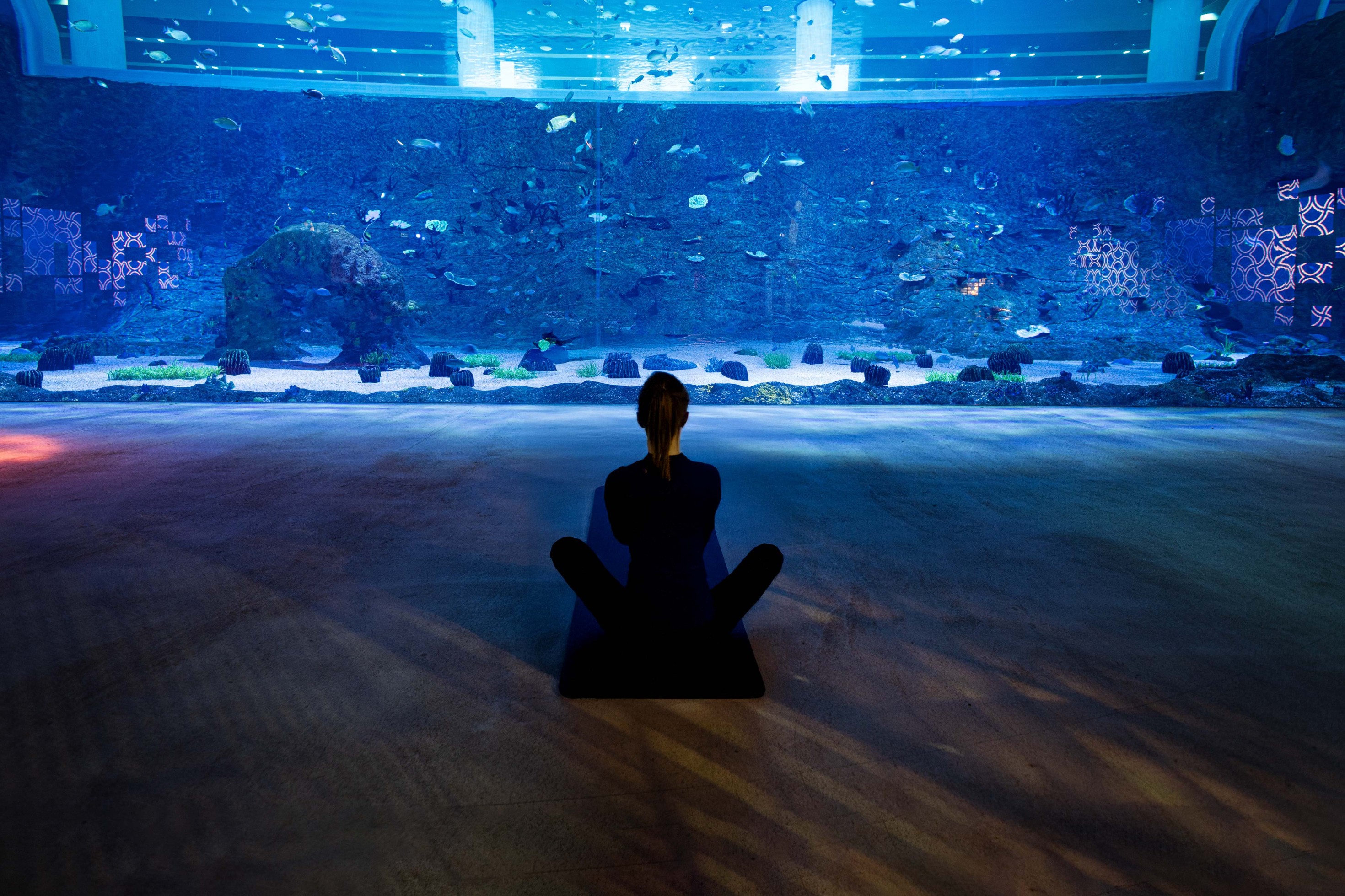Pilates In the Aquarium