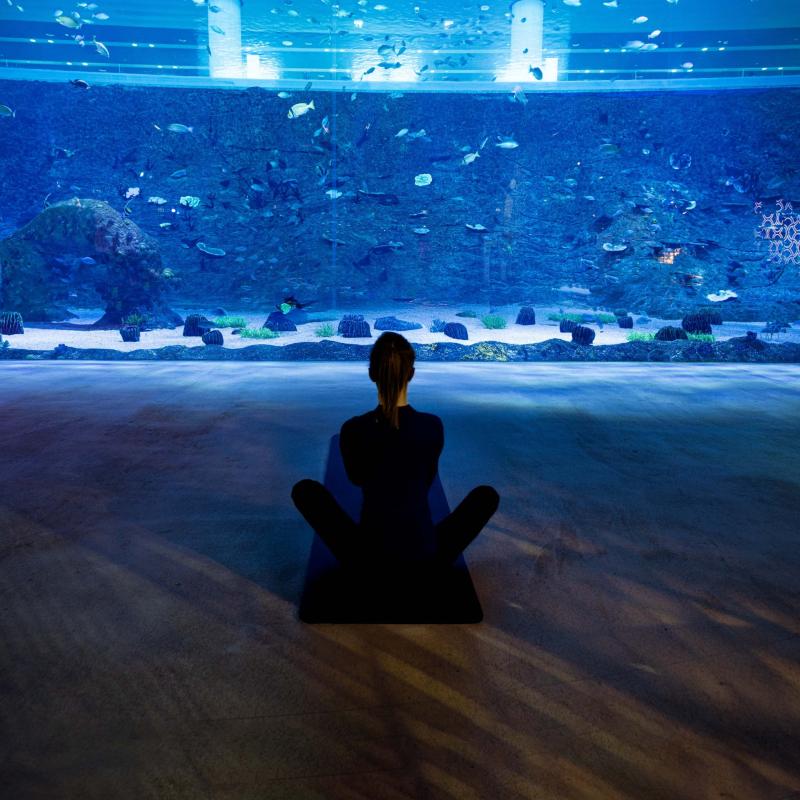 Pilates In the Aquarium