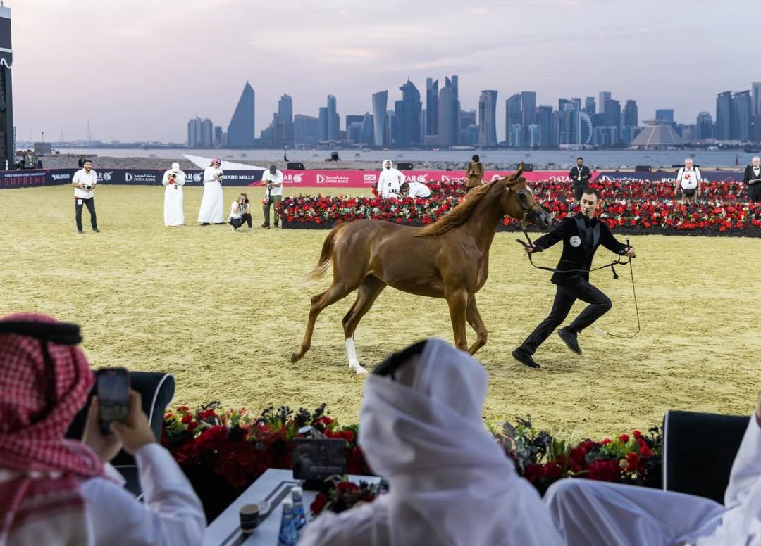 World Horse Championship Old Doha Port 2025